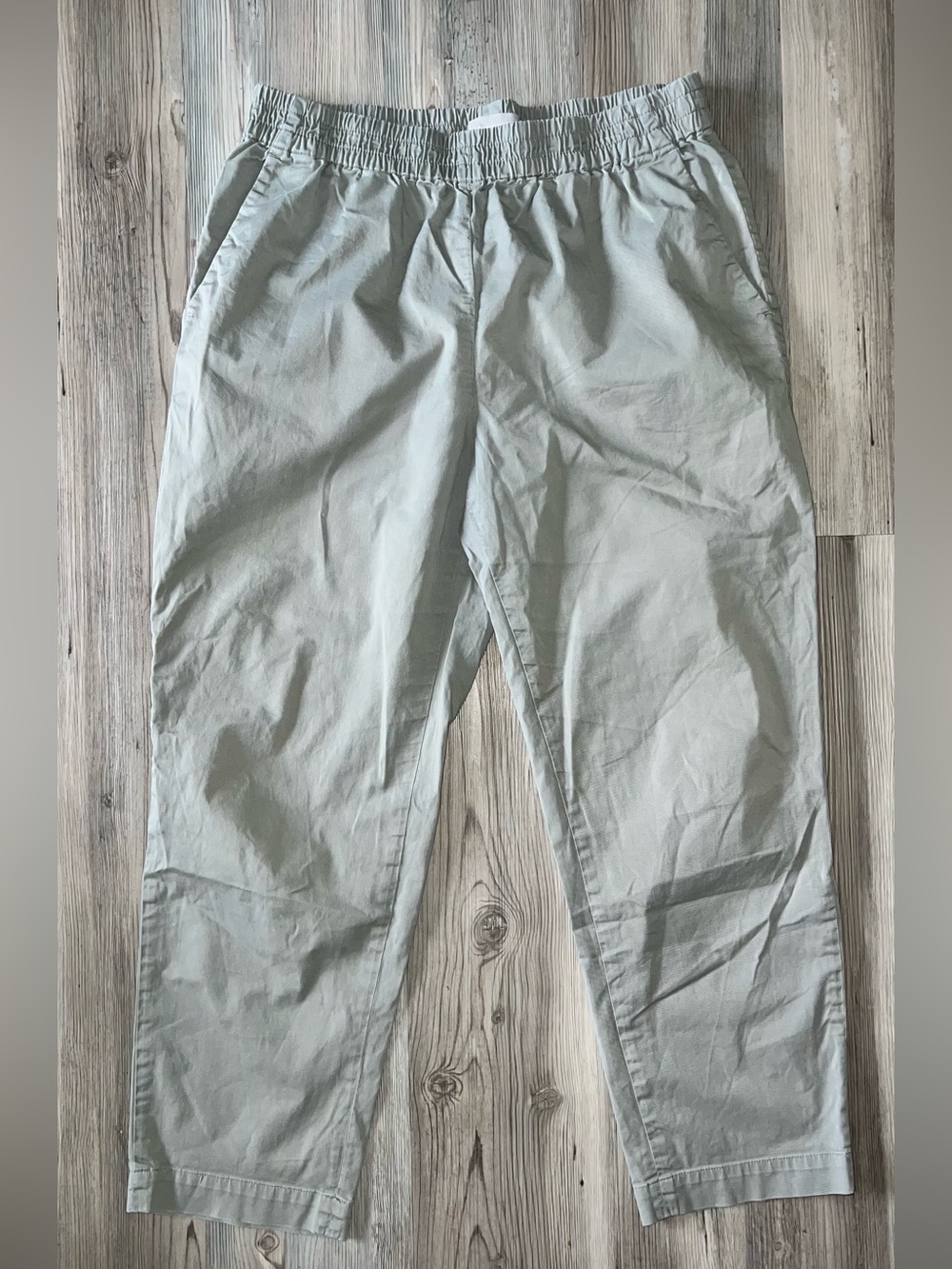 Women’s Everlane Light Green Elastic Waist Easy Chino Pull On Pants 12